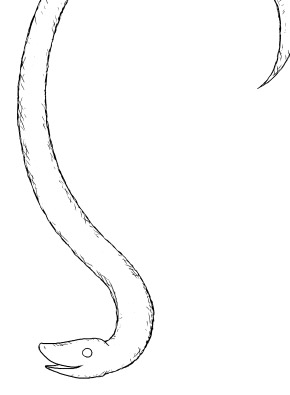 ���ꉺ�����