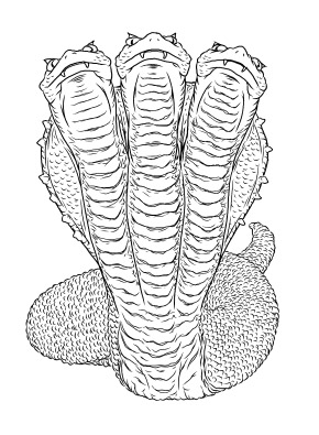 �O��̑��