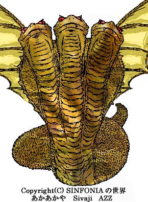 �O��̑�ցE�J���[��