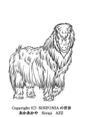 �V�x���A�̂��n����ł�